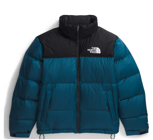 700 SERIES  North face Puffer Coat