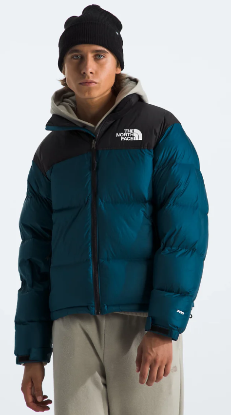 700 SERIES  North face Puffer Coat