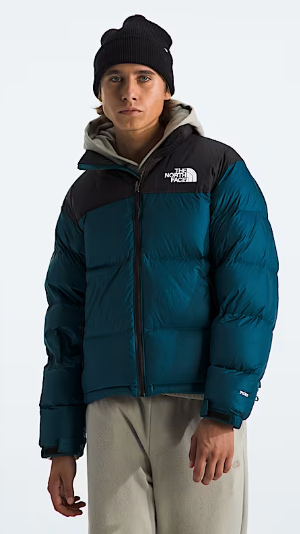 700 SERIES  North face Puffer Coat