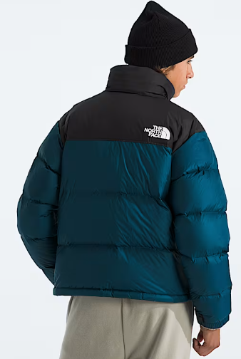 700 SERIES  North face Puffer Coat